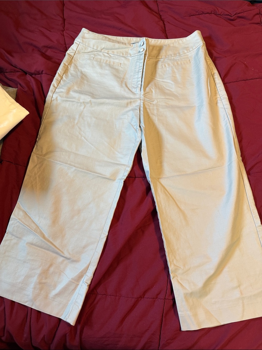 Ann Taylor Curvy Fit Beige Capri Pants